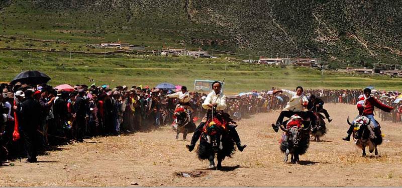 1477539381643295.jpg 201210161429491301.jpg