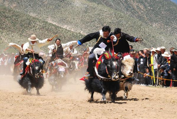 1477539436774451.jpg 201108230958222987.jpg