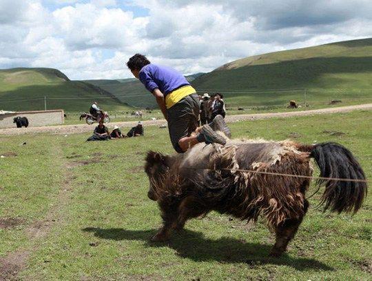 1477539464487366.jpg E9A4E68A612EADD8028C24E21F6D8D22.jpg