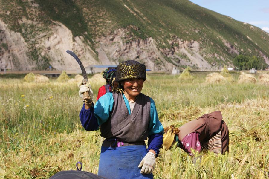 1478610828503991.jpg 6.jpg