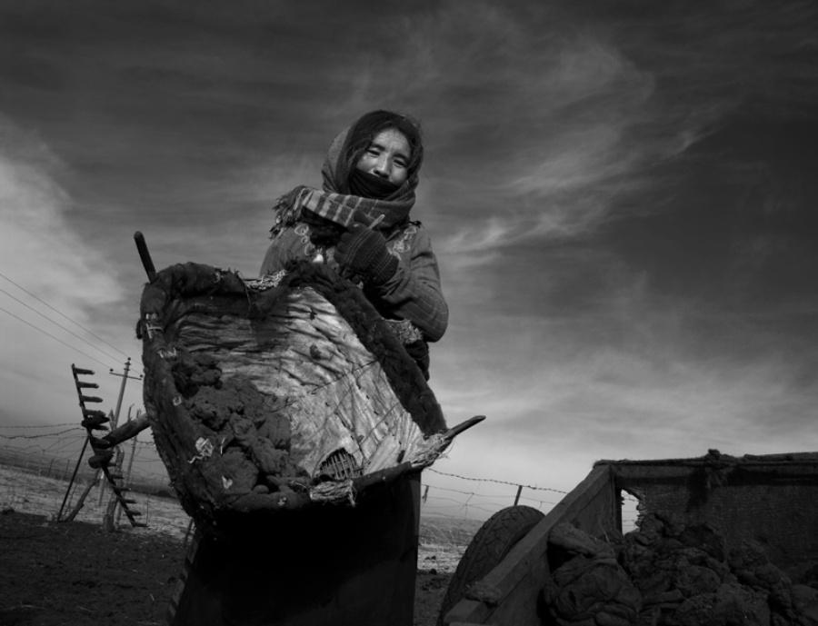 1478610845329993.jpg 7.jpg