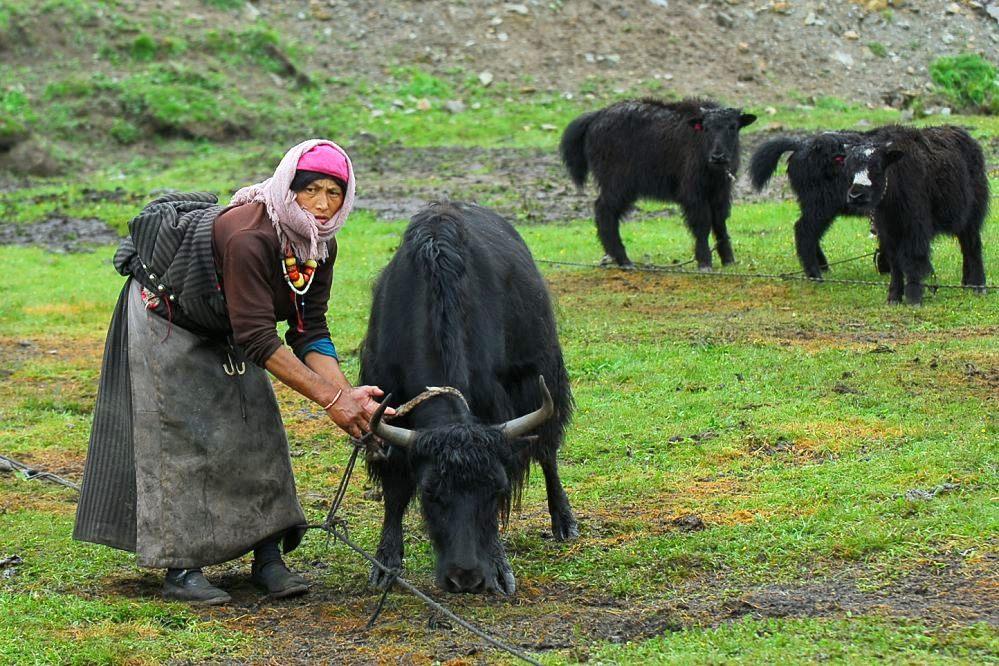 1478611001692094.jpg 4.jpg