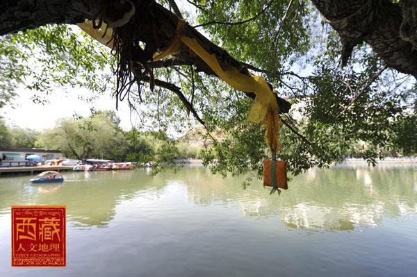 1481078858481861.jpg Img348372322.jpg