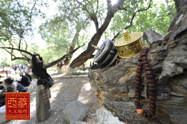 1481078871753492.jpg 1(295).jpg