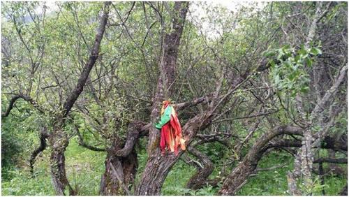 1481079371826008.jpg 6597582139077064953.jpg