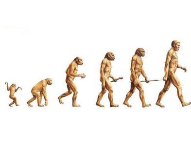 1481162993127018.jpg u=195435111,2421390948&fm=23&gp=0.jpg