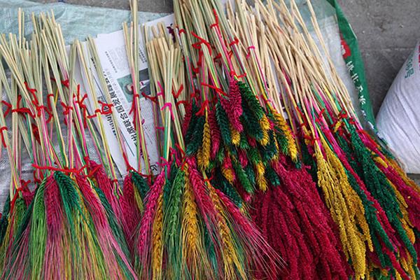 藏族特色新年習俗 藏族新年活動 藏族特色新年習俗 藏族新年活動