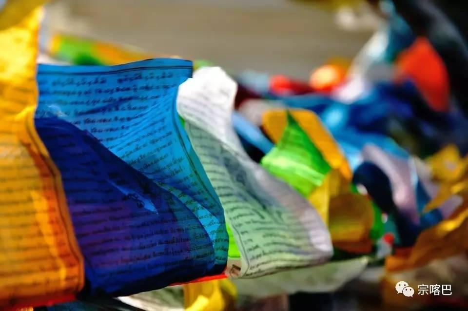 1494664971120430.jpg 1.jpg