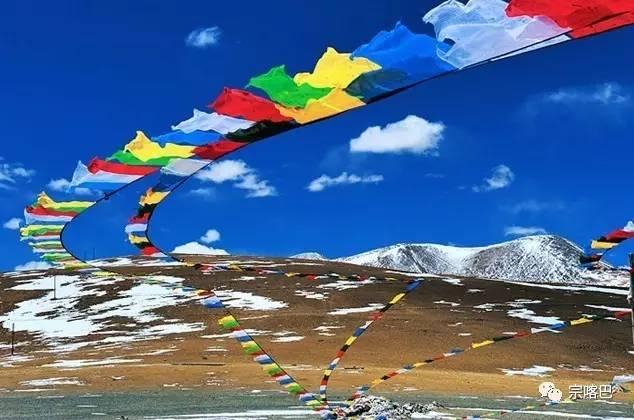 1494664983763739.jpg 2.jpg