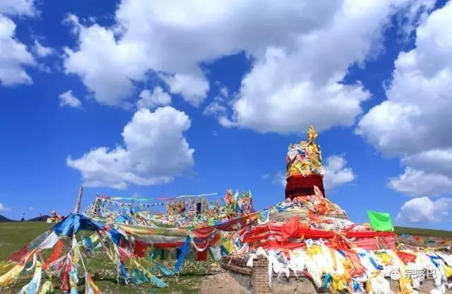 1494664994335088.jpg 3.jpg