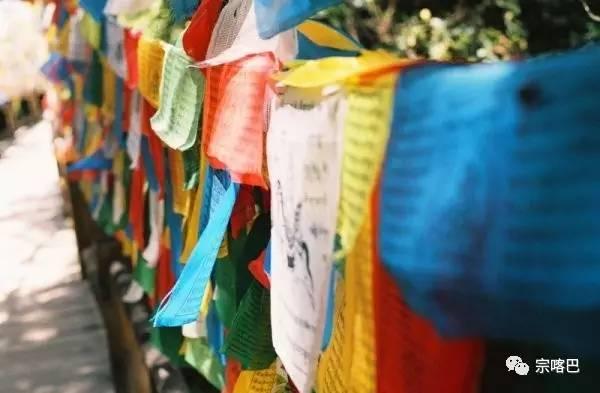 1494665002830751.jpg 4.jpg