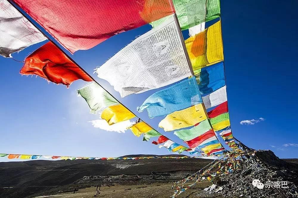 1494665015672244.jpg 5.jpg