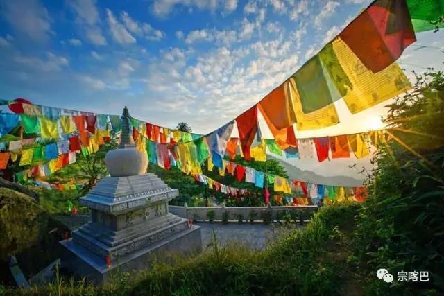 1494665028786123.jpg 6.jpg