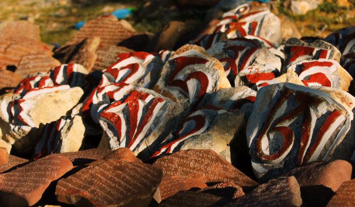 1494906082502473.jpg 1.jpg