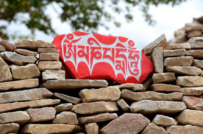 1494906334812996.jpg 6.jpg