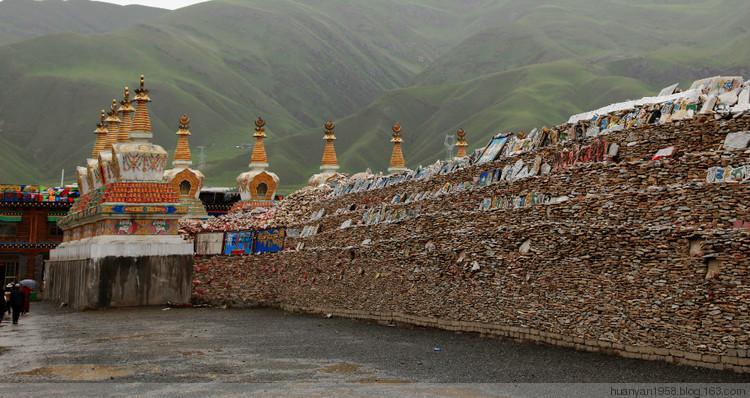 1494906417457582.jpg 7.jpg