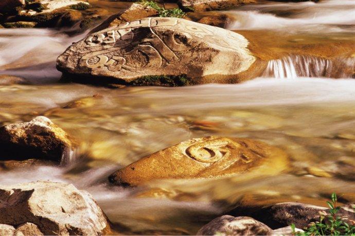 1494906518359823.jpg 8.jpg