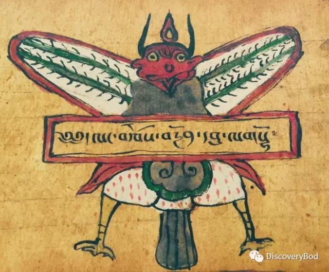 1499655315710462.jpg 4.jpg