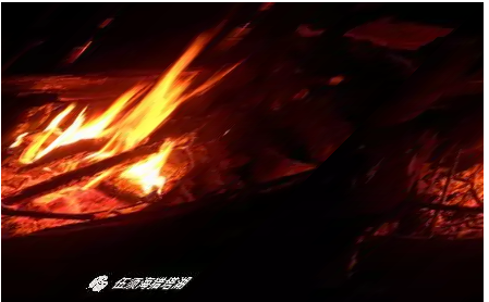 1508830565455316.png 捕獲.PNG