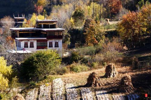 1517887188201345.jpg 6.jpg