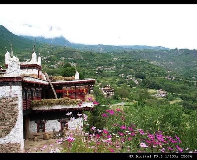 1517887196955734.jpg 7.jpg