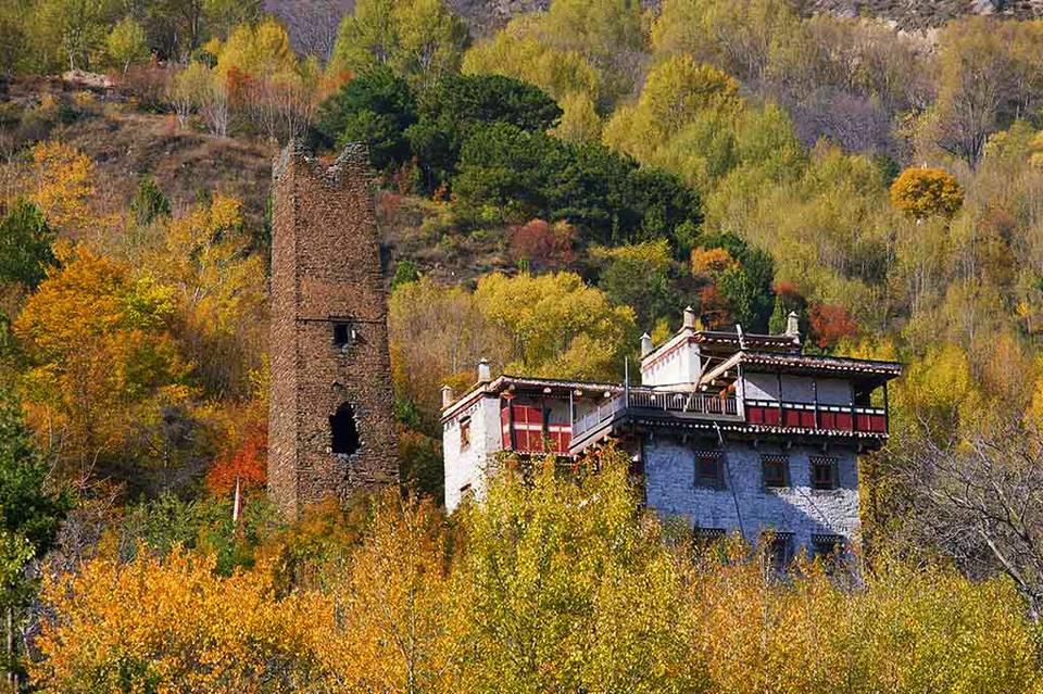 1517887205868429.jpg 8.jpg