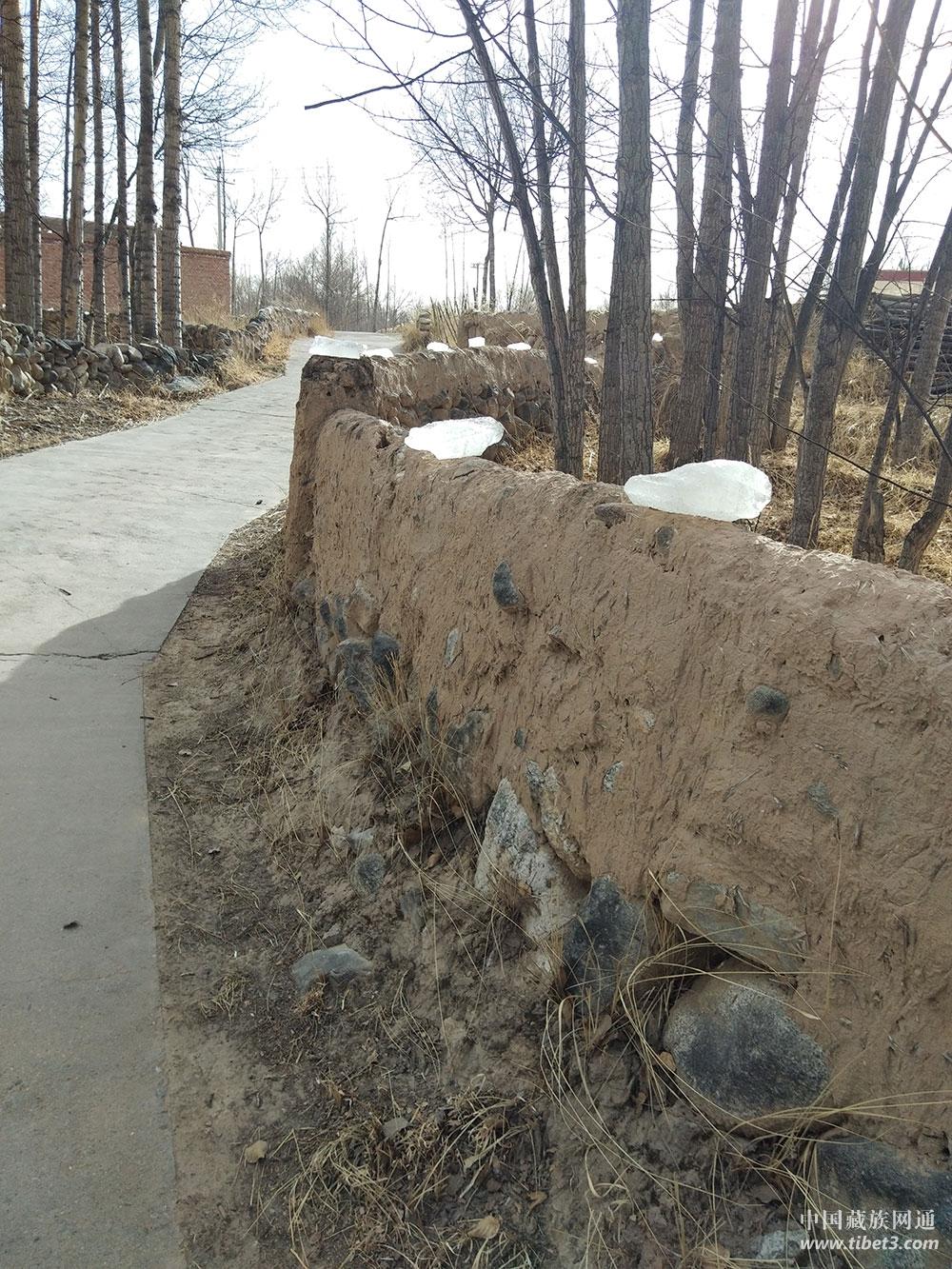 1519719930216489.jpg 18.jpg