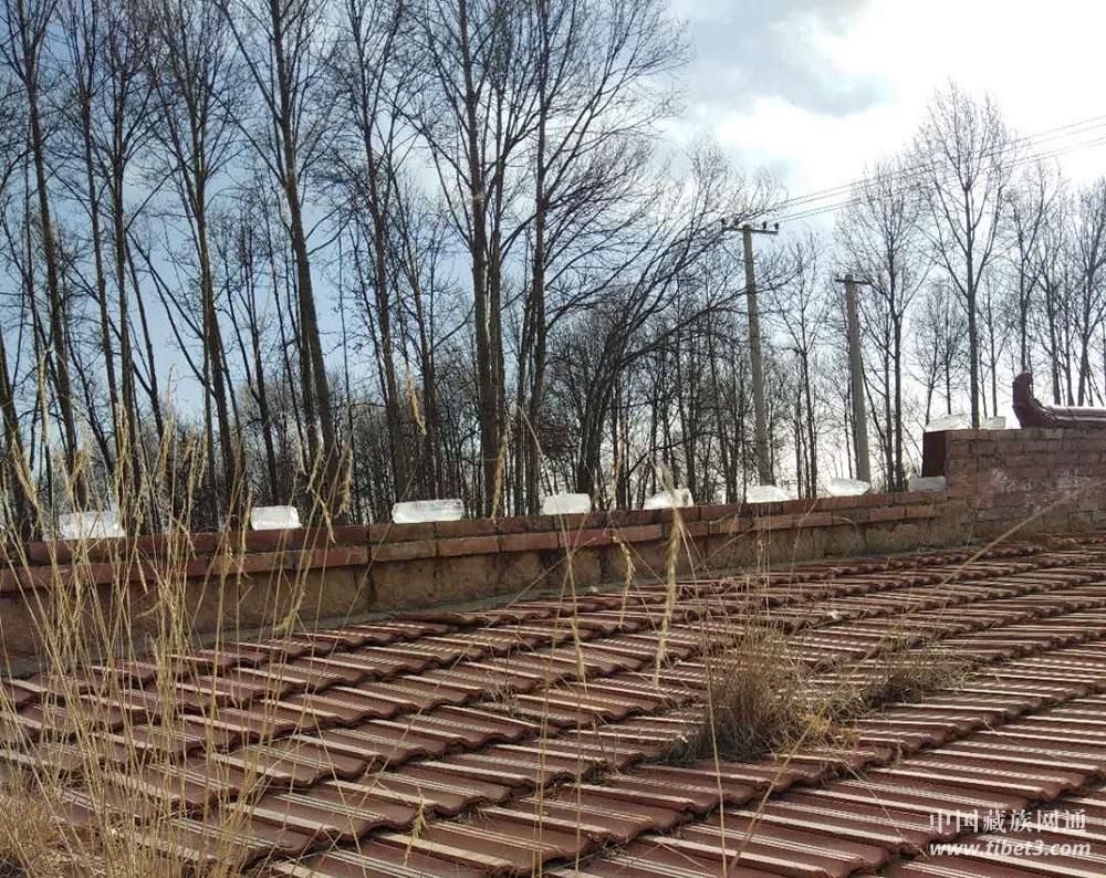 1519719946774262.jpg 12.jpg