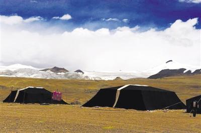 1526453802408507.jpg 1.jpg