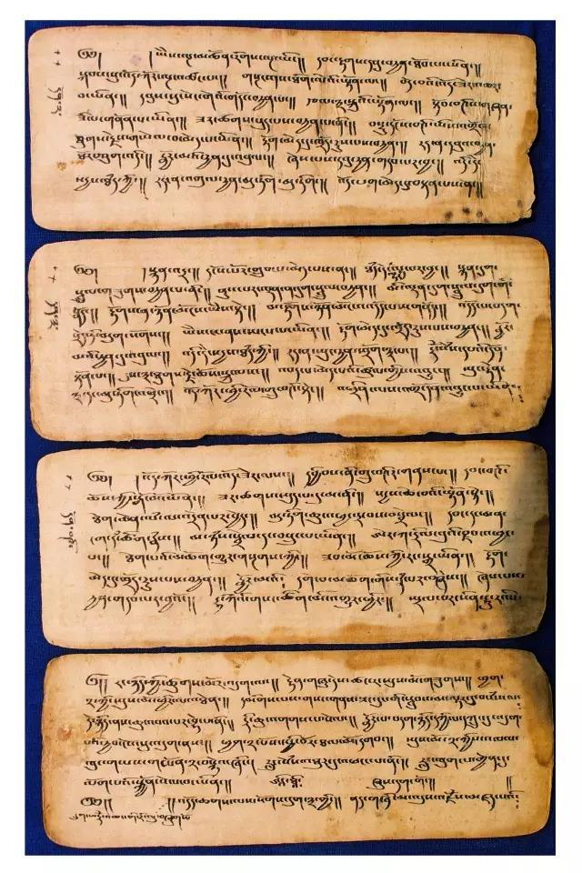 1493005110122263.jpg 3.jpg