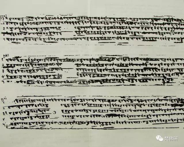 1493094975637833.jpg 4.jpg