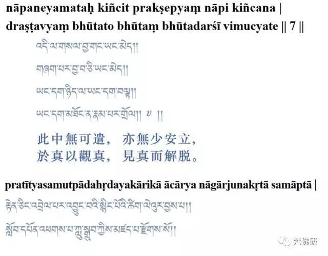 1493095037783260.jpg 7.jpg