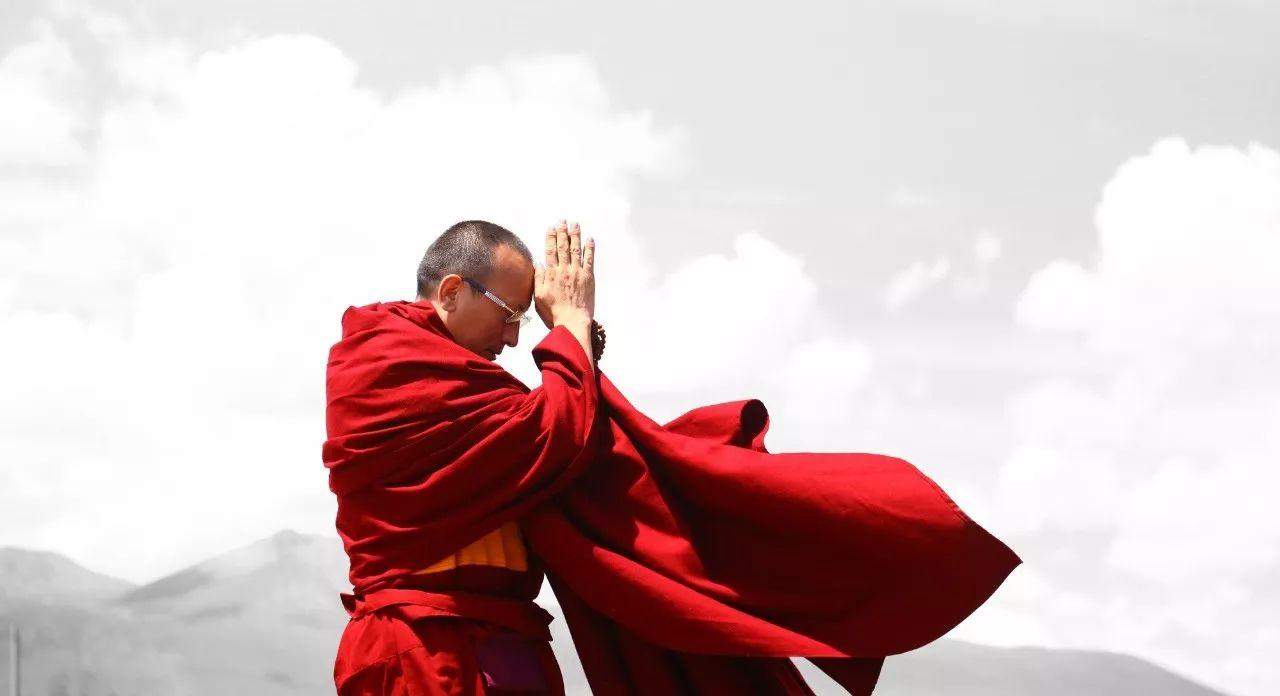 1515458768333498.jpg 8.jpg