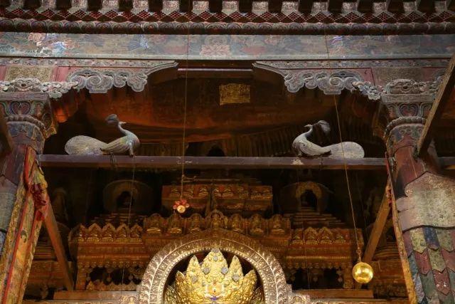 1518141730269147.jpg 5.jpg