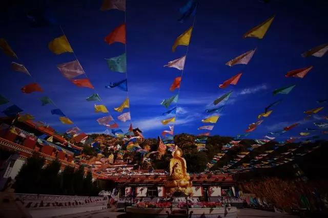 1519741028416493.jpg 5.jpg