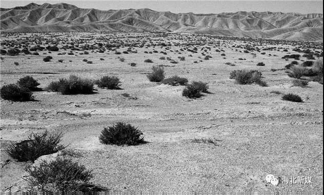 1540172482987553.jpg 9.jpg