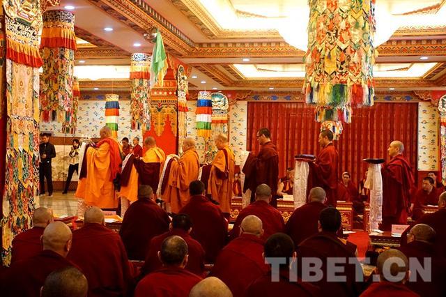 1548680660433164.jpg 5.jpg