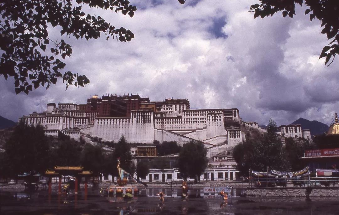 1549082184193968.jpg 1.JPG