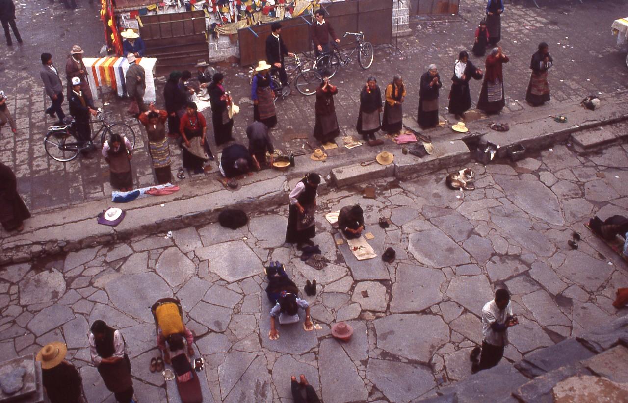 1549082296475424.jpg 5.jpg