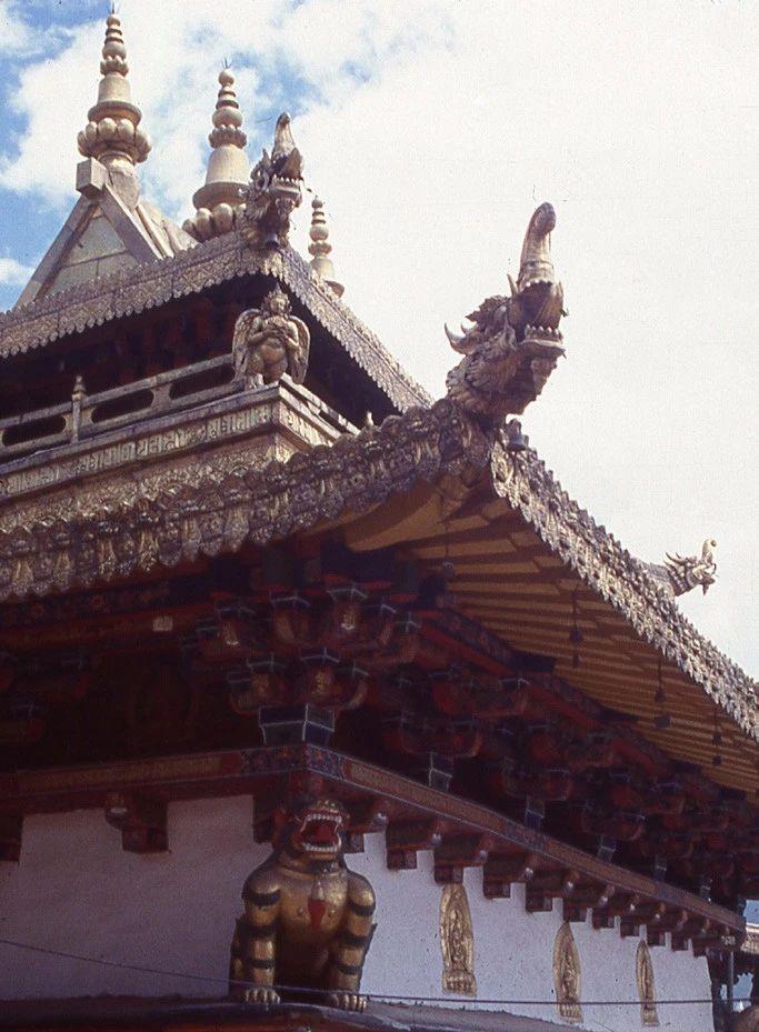 1549082420958580.jpg 11.jpg