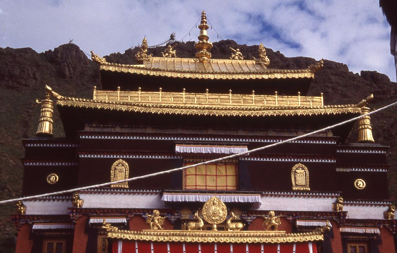 1549082509430848.jpg 1.JPG