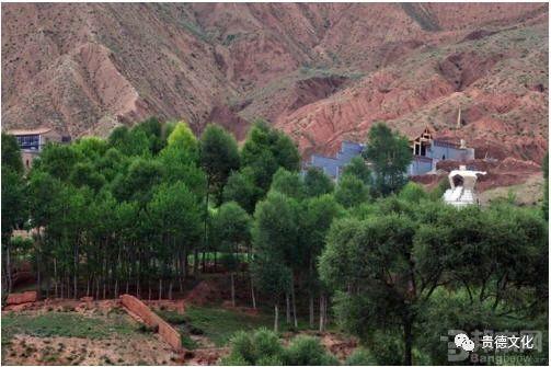 1549949690539482.jpg 1.jpg