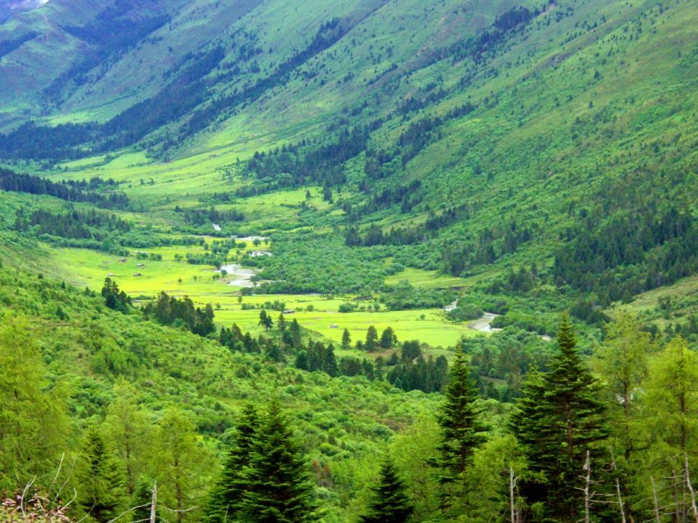 1559704319684297.jpg 作者出生的地方——滇川交界處的新沾河流域牧場。張國華 攝_.jpg