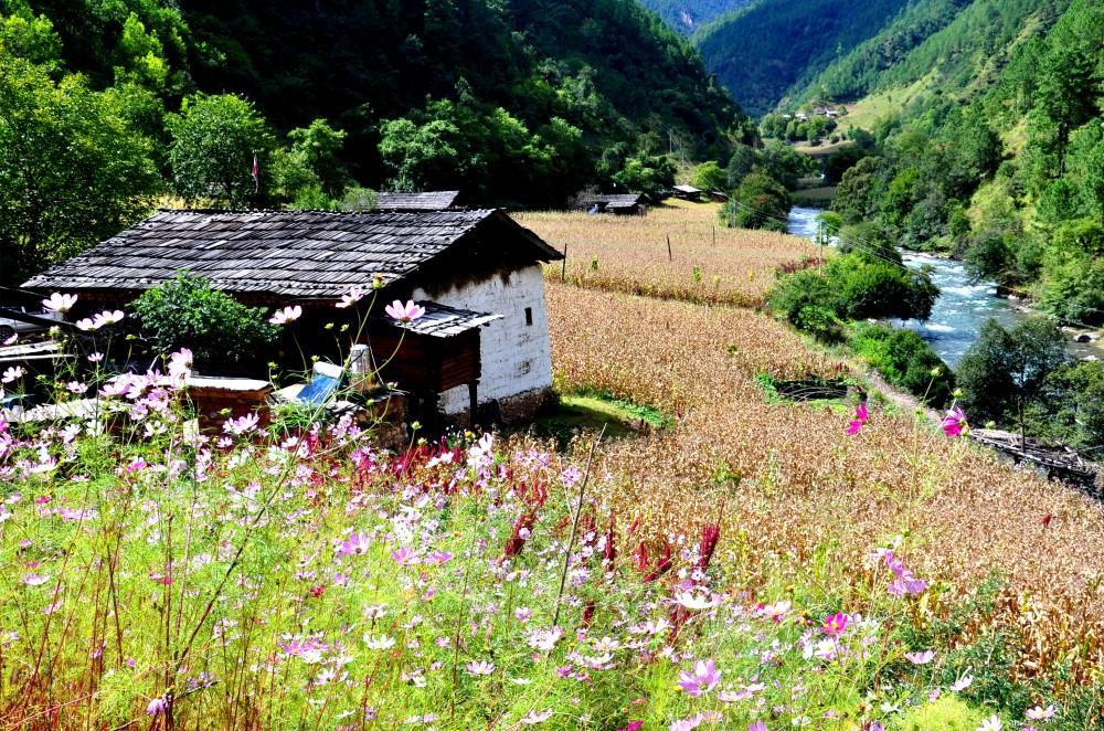 1559704354320414.jpg 作者的家鄉尼汝普拉村。張國華 攝 106_.jpg