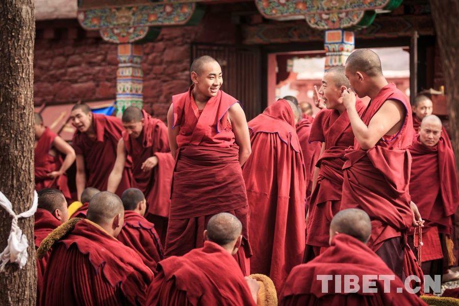 1578022301721678.jpg 8.jpg