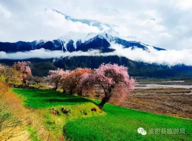 1478738886630284.jpg IMG_1192.JPG