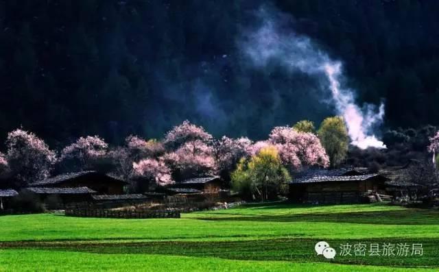 1478739297912065.jpg IMG_1202.JPG