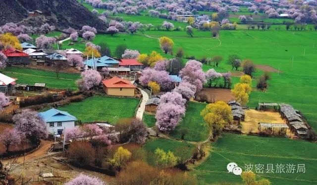 1478739351983867.jpg IMG_1203.JPG