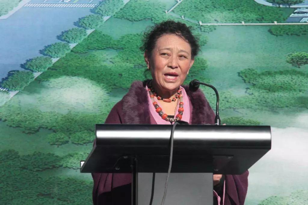 1544690069592722.jpg 10.jpg