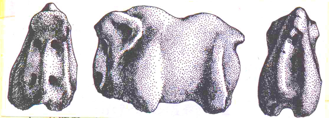 1555639644633003.png 2.png